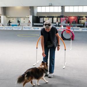 petinfiera2024