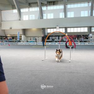 petinfiera2024