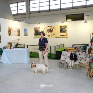 petinfiera2024