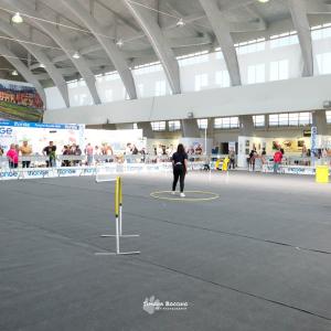 petinfiera2024