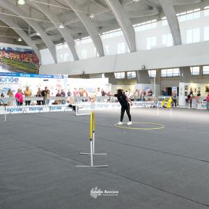petinfiera2024
