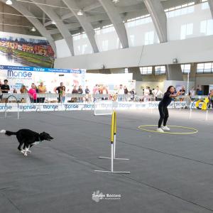 petinfiera2024