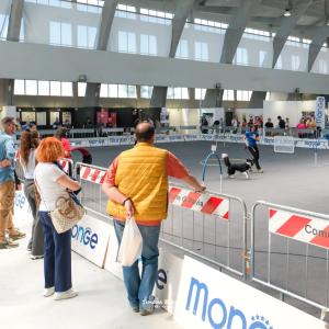 petinfiera2024