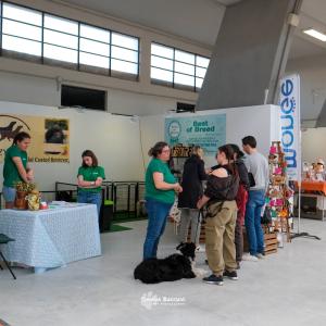 petinfiera2024