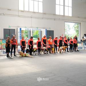 petinfiera2024