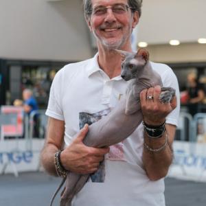 petinfiera2024