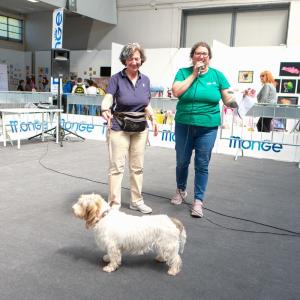 petinfiera2024